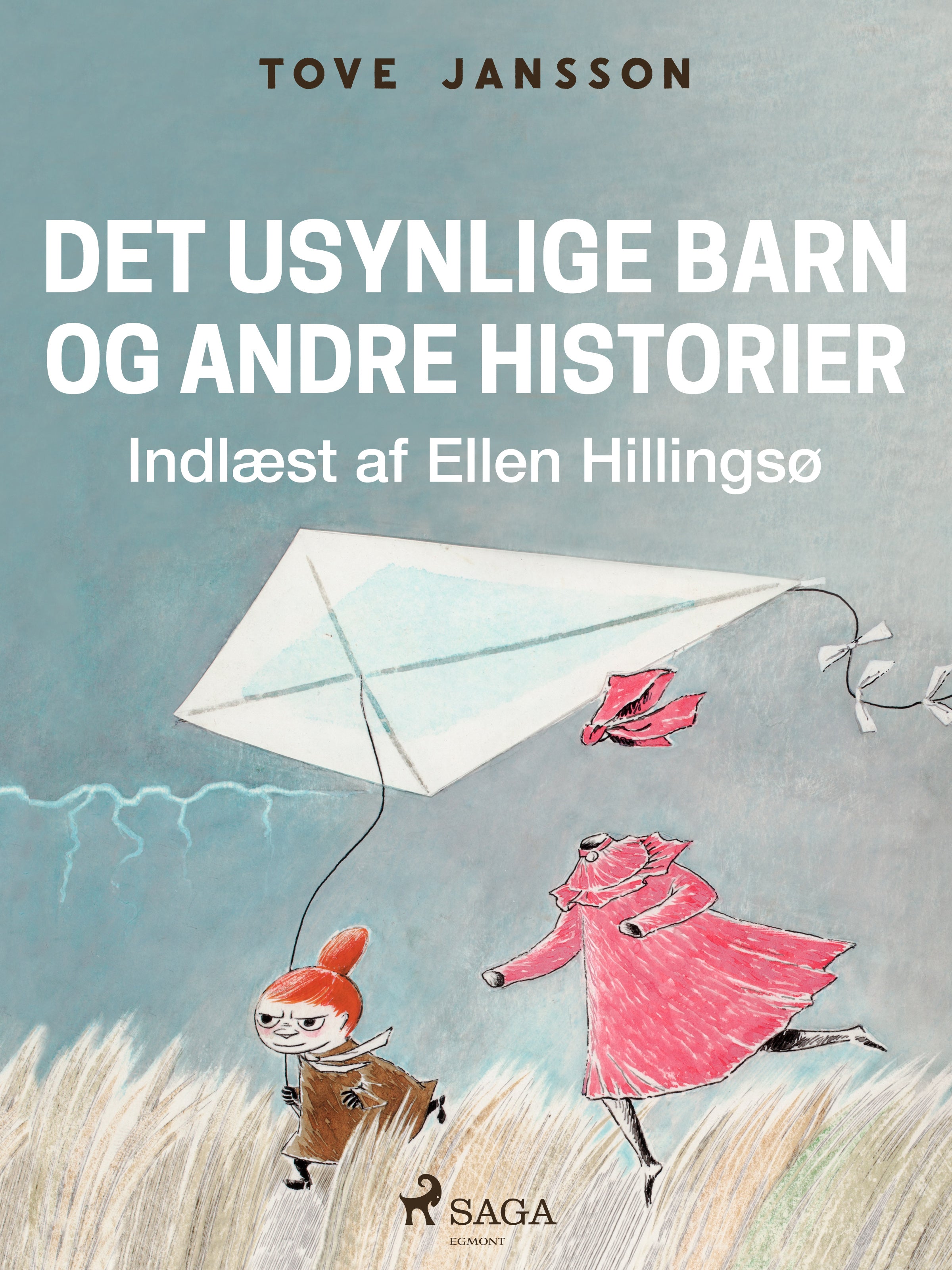 Forside billede